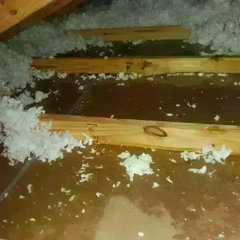 Attic Water Damage in Hamilton County, IA