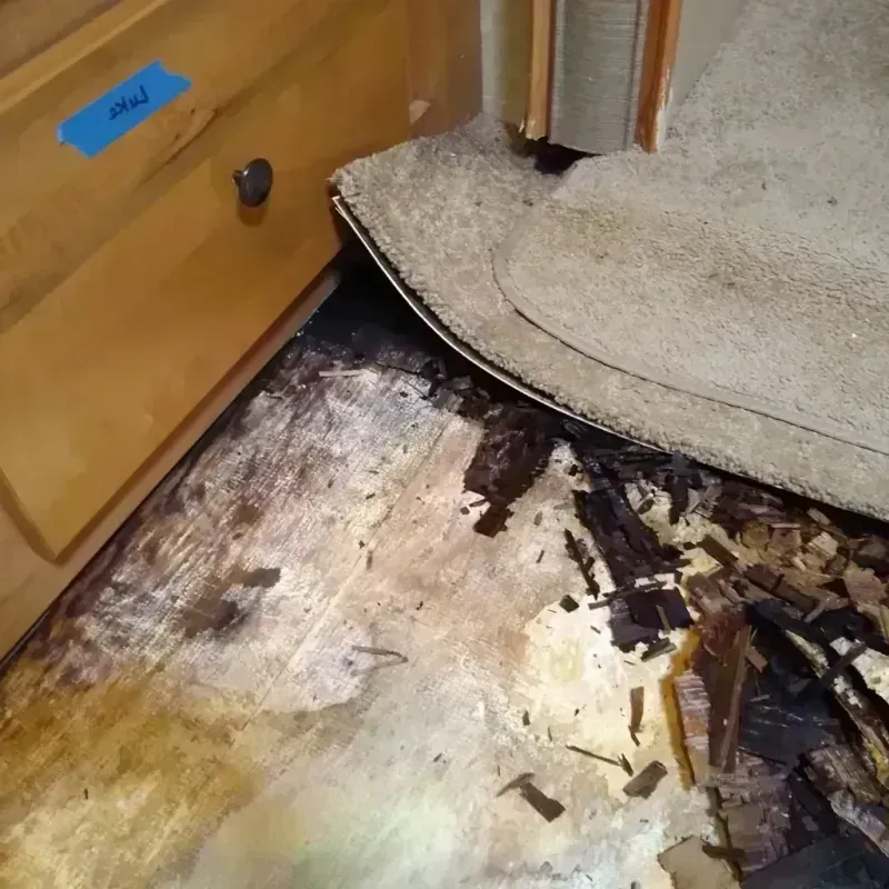 Best Wood Floor Water Damage Service in Hamilton County, IA